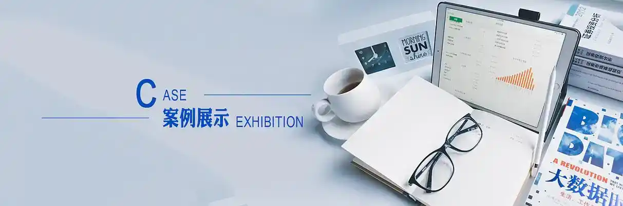 德格县软件开发